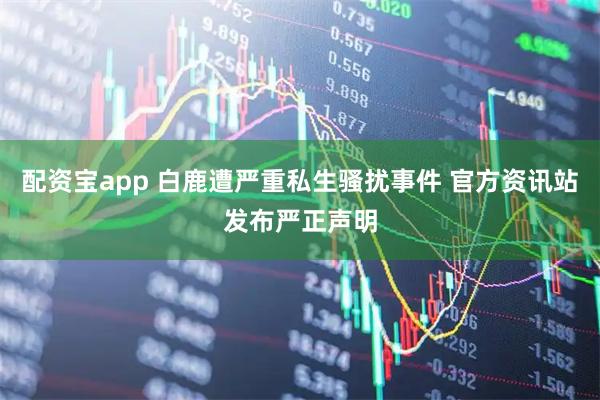 配资宝app 白鹿遭严重私生骚扰事件 官方资讯站发布严正声明