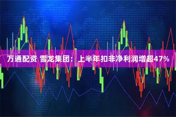 万通配资 雪龙集团：上半年扣非净利润增超47%