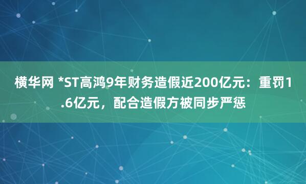 横华网 *ST高鸿9年财务造假近200亿元：重罚1.6亿元，配合造假方被同步严惩