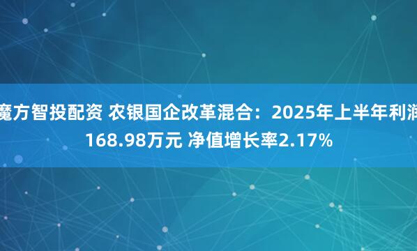 魔方智投配资 农银国企改革混合：2025年上半年利润168.98万元 净值增长率2.17%