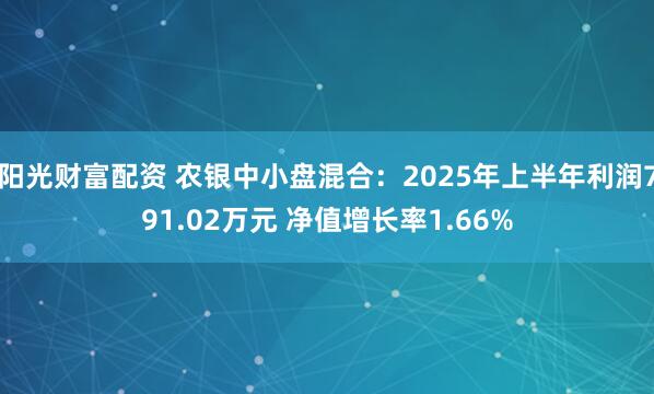 阳光财富配资 农银中小盘混合：2025年上半年利润791.02万元 净值增长率1.66%
