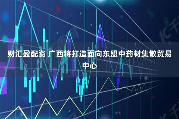 财汇盈配资 广西将打造面向东盟中药材集散贸易中心
